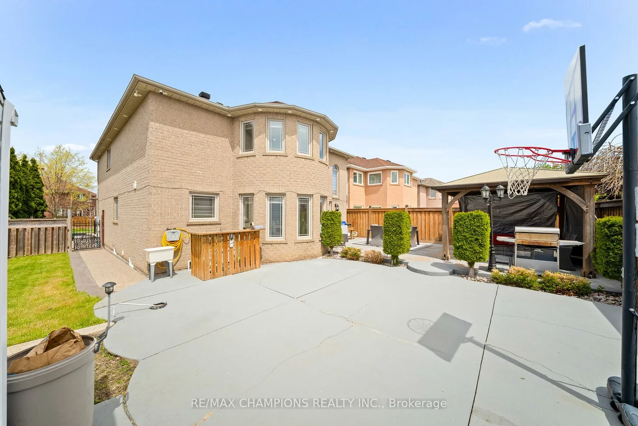 3, Fiddleneck, Sandringham-Wellington, Brampton