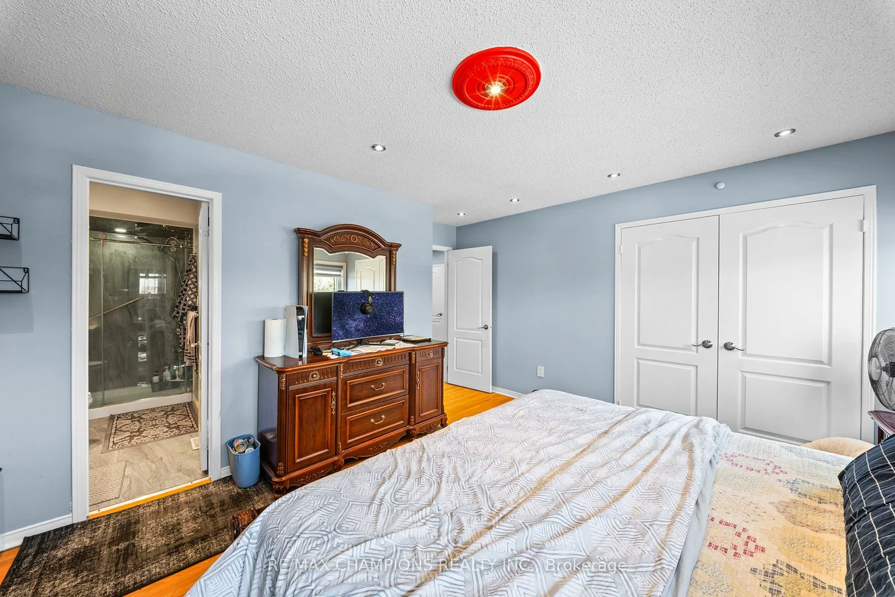 3, Fiddleneck, Sandringham-Wellington, Brampton