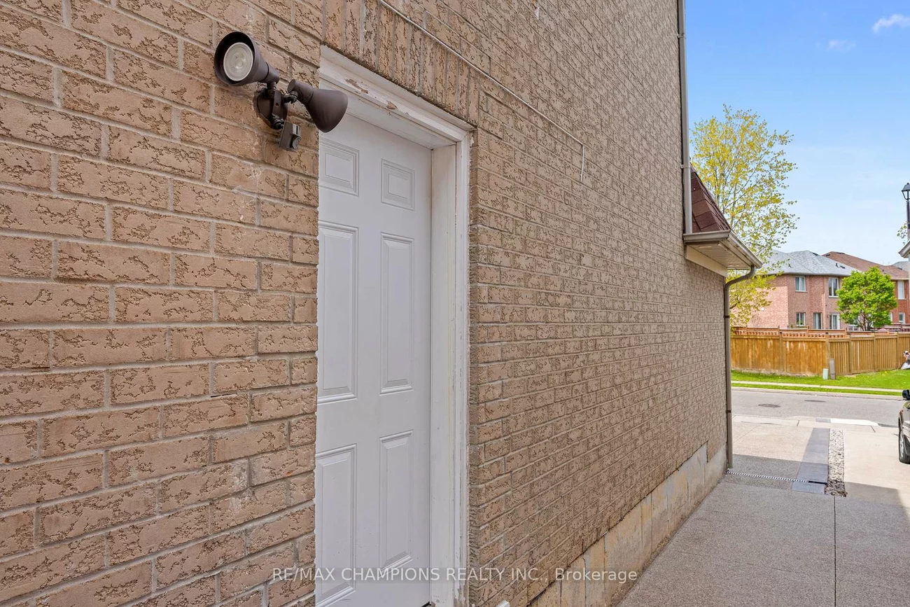 3, Fiddleneck, Sandringham-Wellington, Brampton
