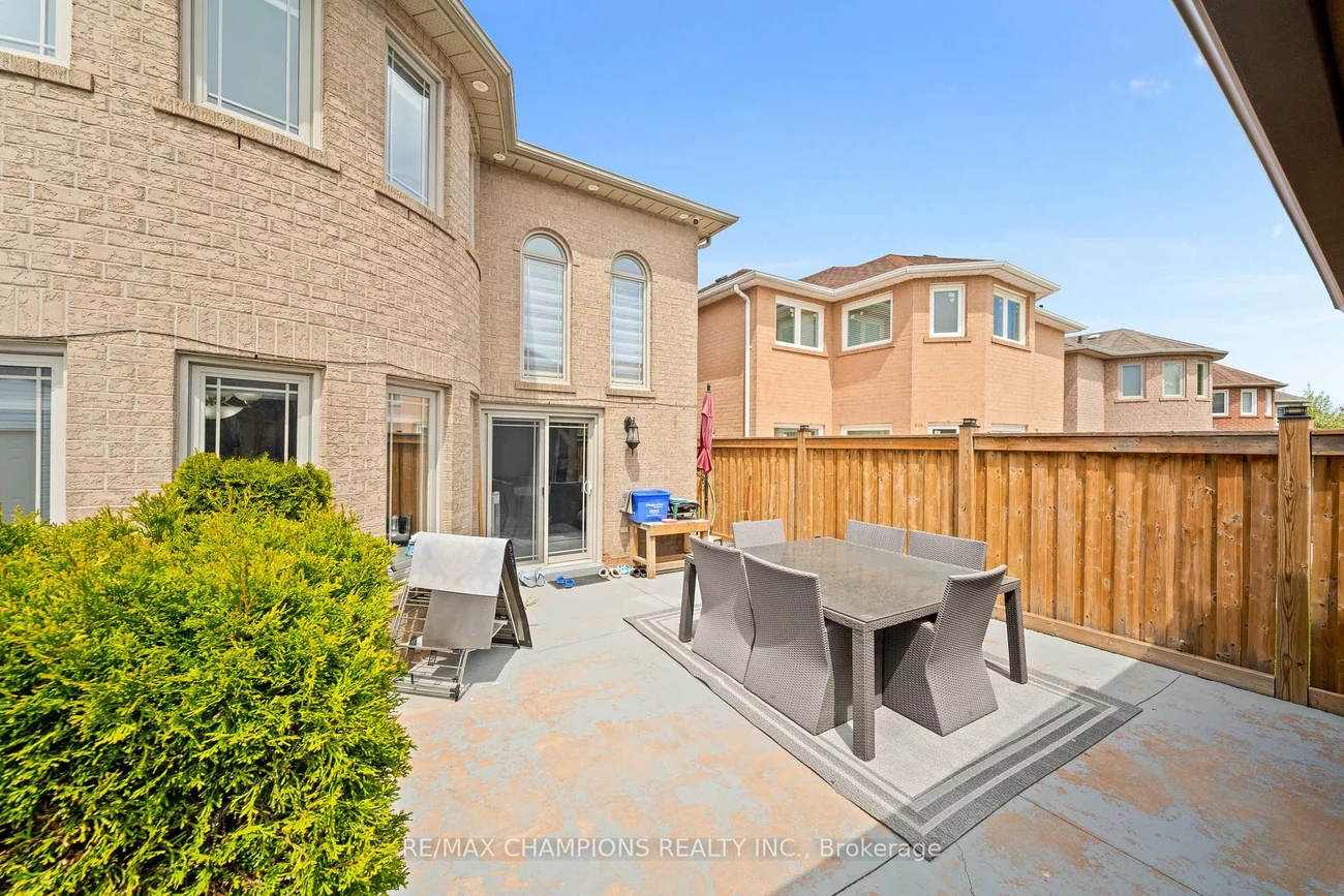 3, Fiddleneck, Sandringham-Wellington, Brampton