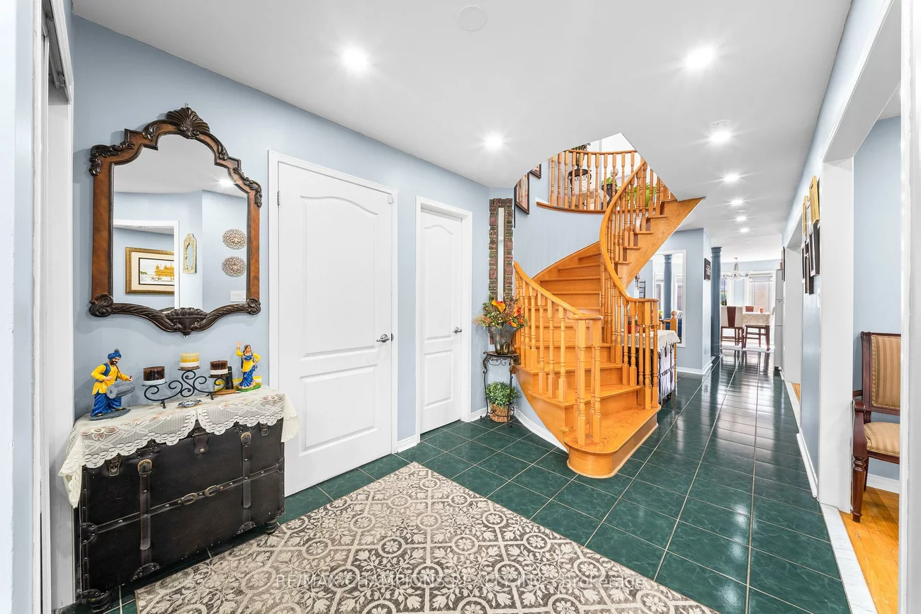 3, Fiddleneck, Sandringham-Wellington, Brampton