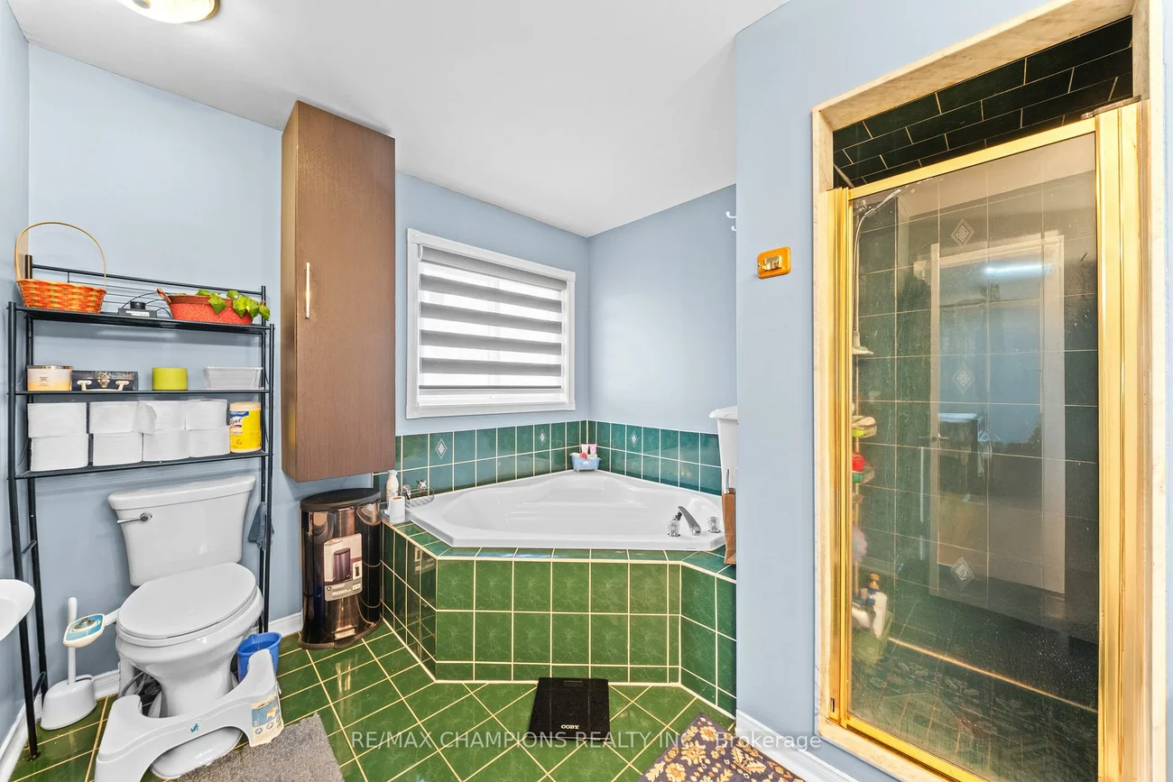 3, Fiddleneck, Sandringham-Wellington, Brampton