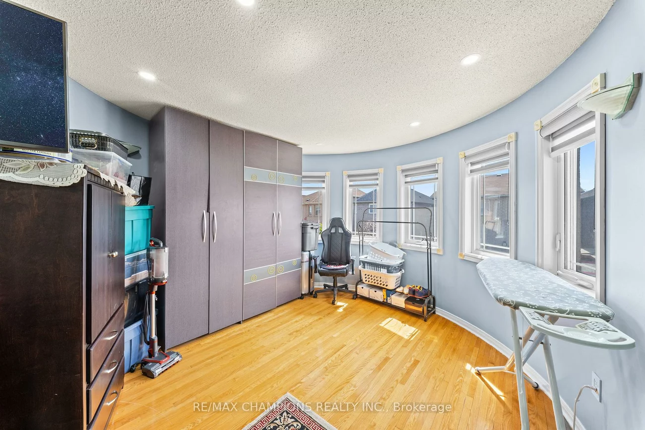 3, Fiddleneck, Sandringham-Wellington, Brampton