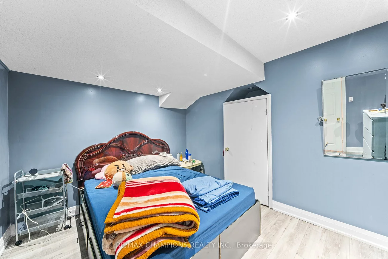 3, Fiddleneck, Sandringham-Wellington, Brampton