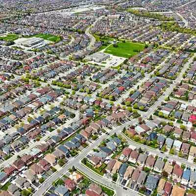 3, Fiddleneck, Sandringham-Wellington, Brampton