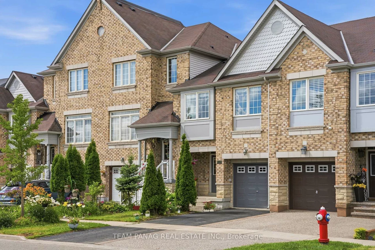 31, Lorenzo, Sandringham-Wellington, Brampton