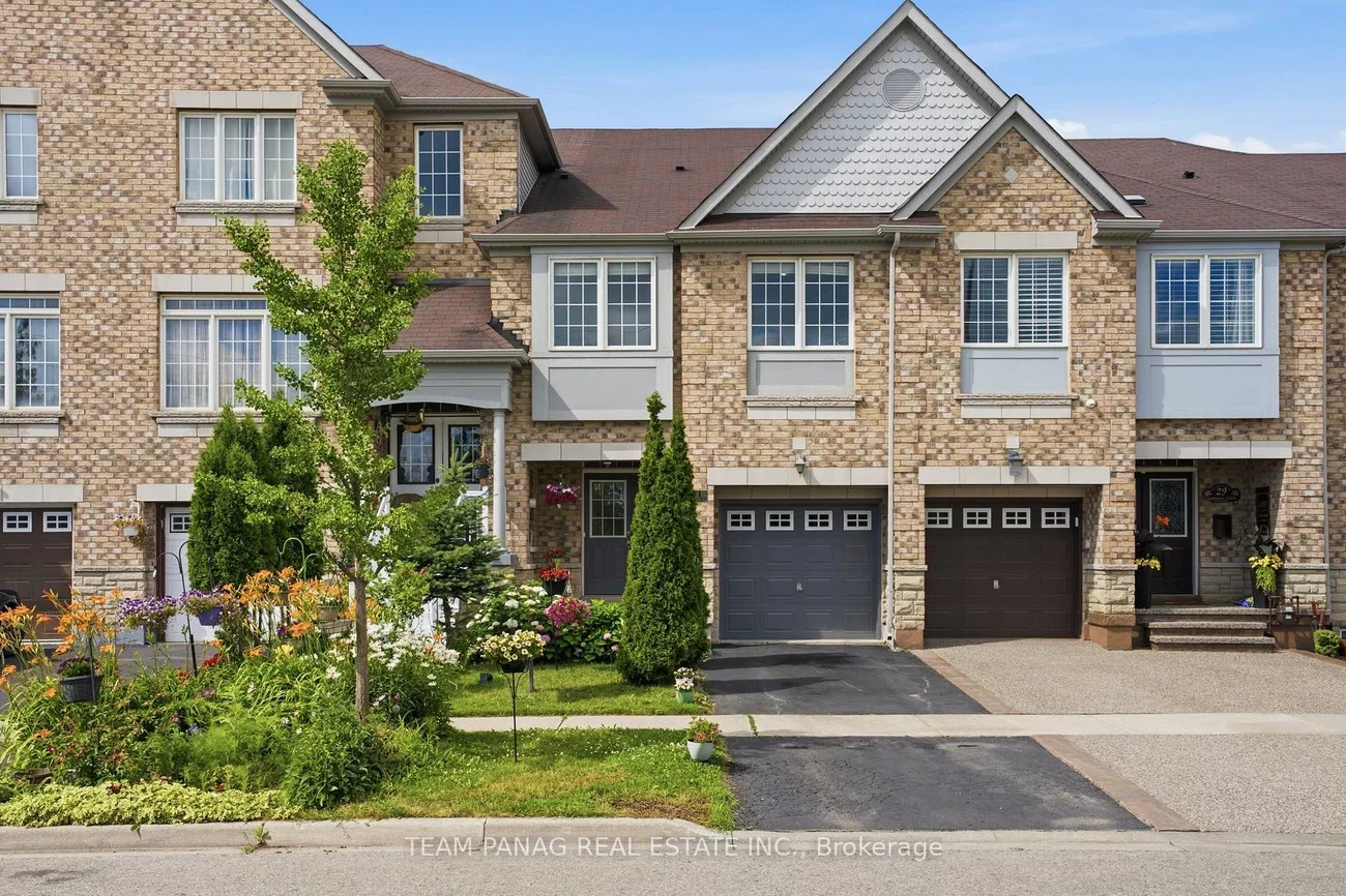 31, Lorenzo, Sandringham-Wellington, Brampton
