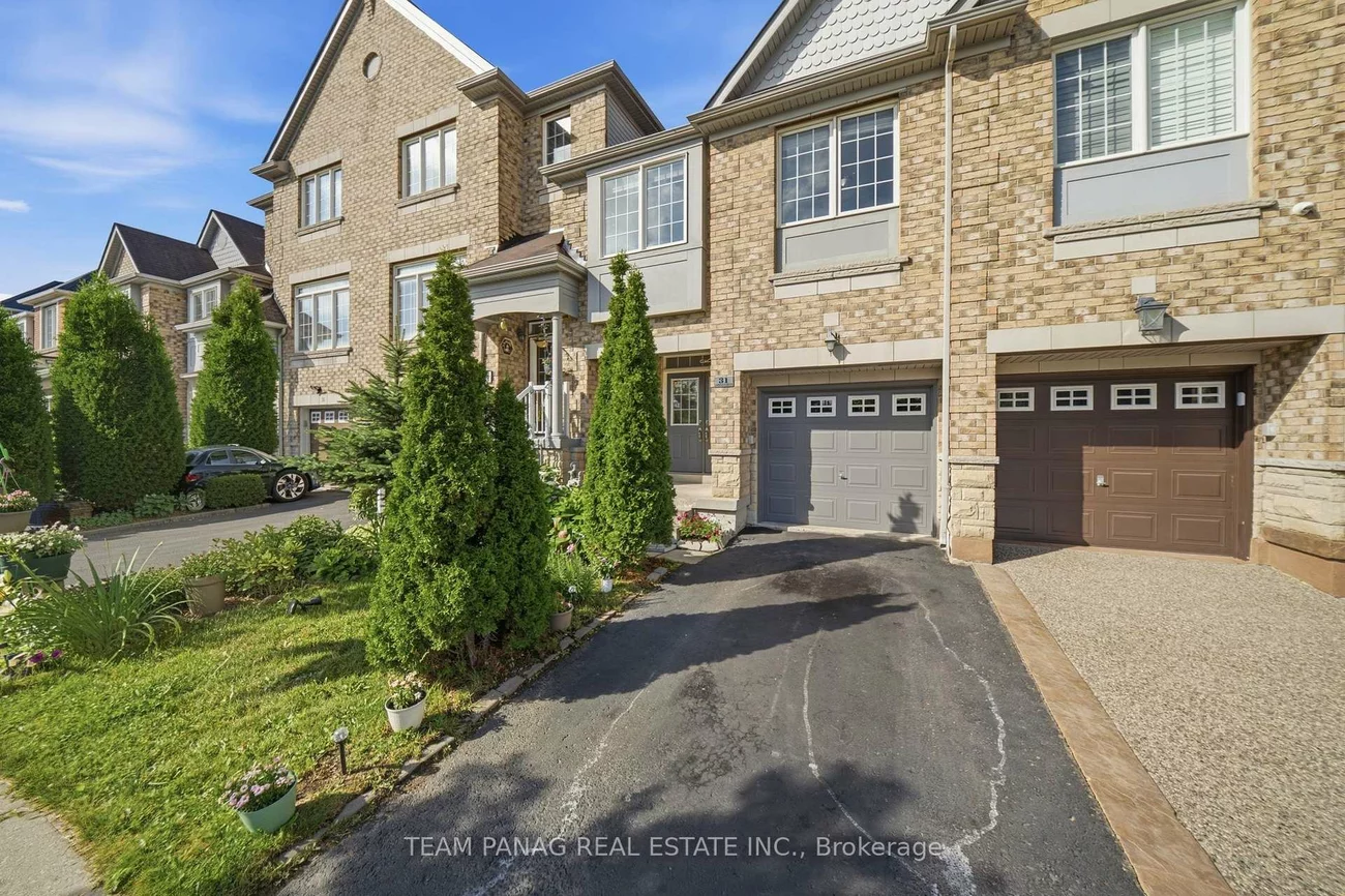 31, Lorenzo, Sandringham-Wellington, Brampton