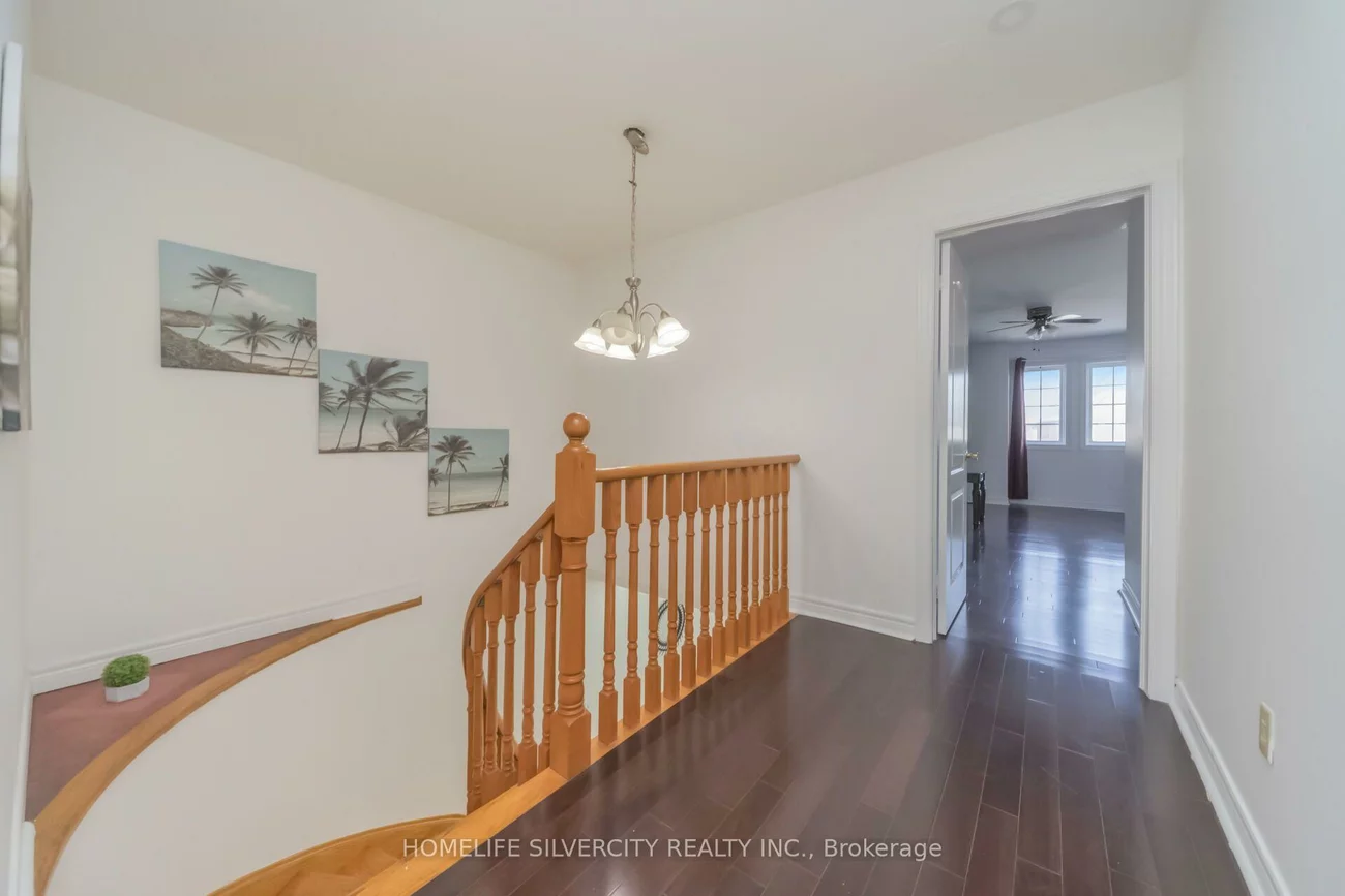 14, Sahara, Sandringham-Wellington, Brampton