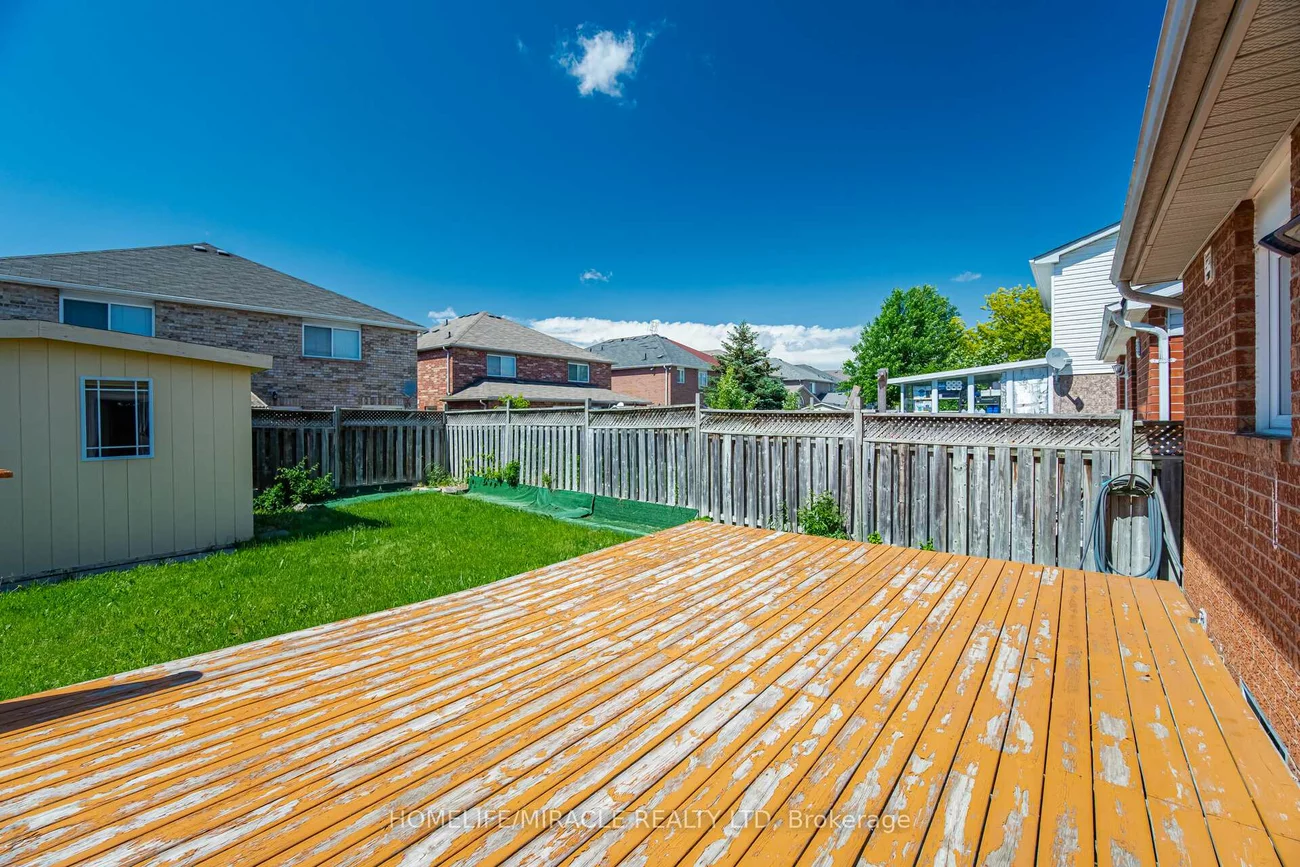 31, Larkspur, Sandringham-Wellington, Brampton