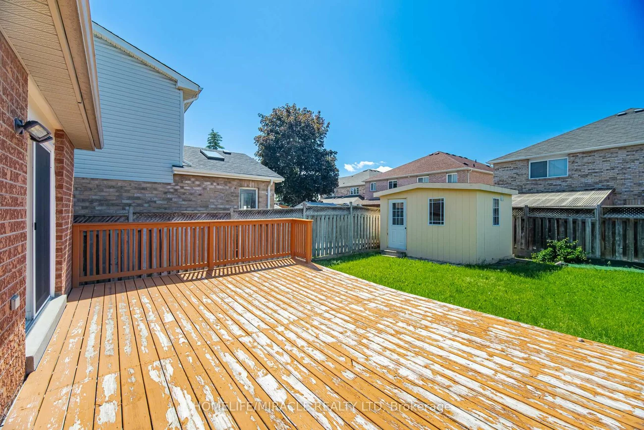 31, Larkspur, Sandringham-Wellington, Brampton