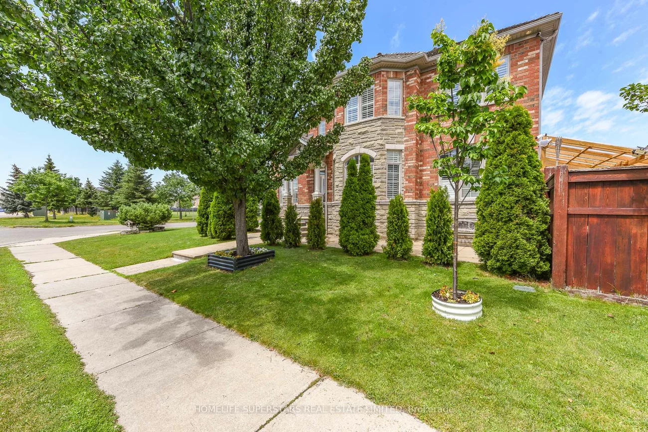 36, Lucky, Sandringham-Wellington, Brampton