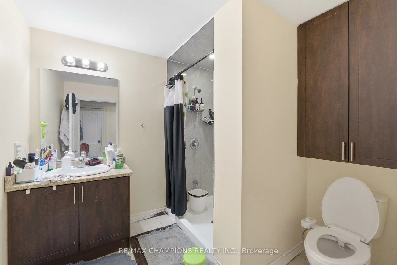 28, Egypt, Sandringham-Wellington, Brampton