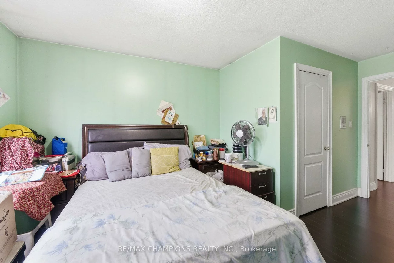 28, Egypt, Sandringham-Wellington, Brampton
