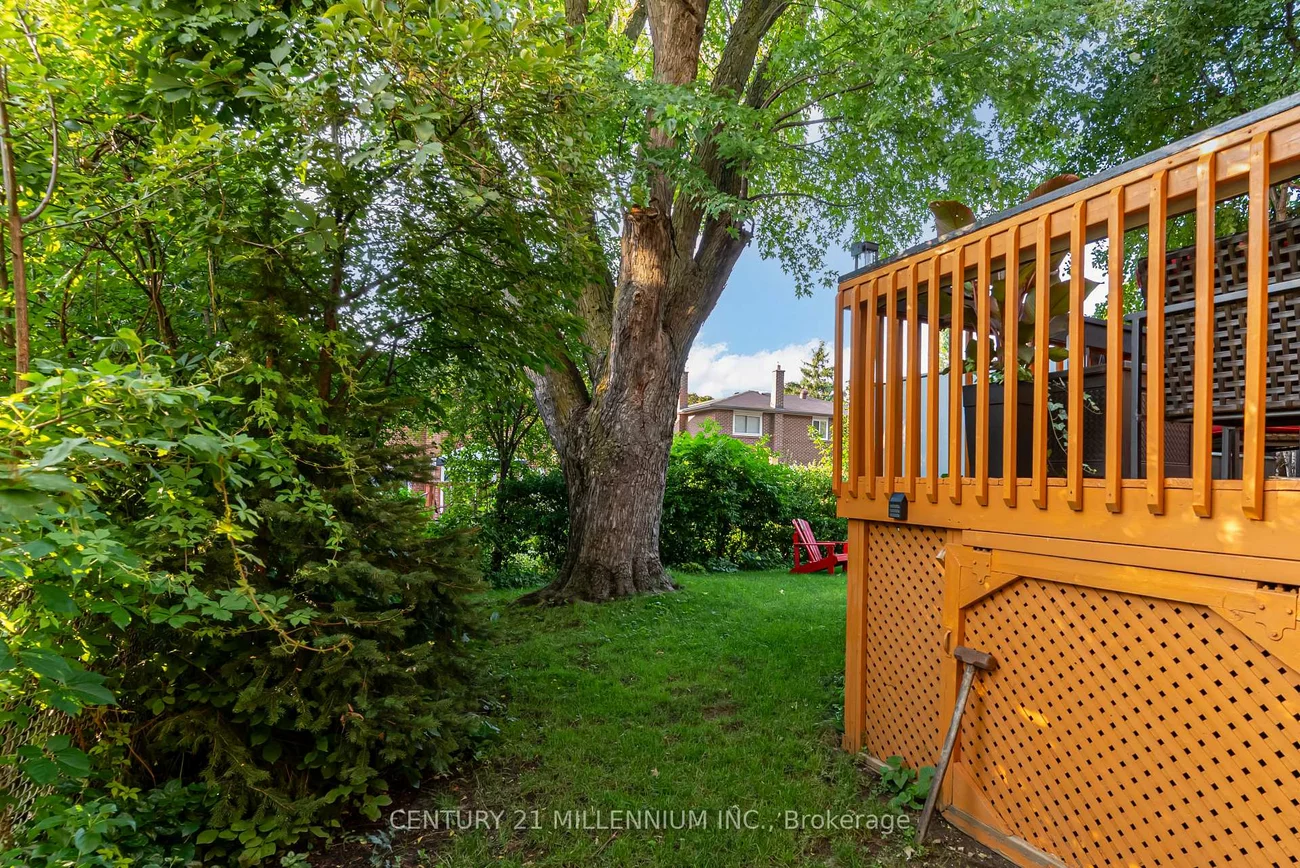 31, Mansfield, Central Park, Brampton