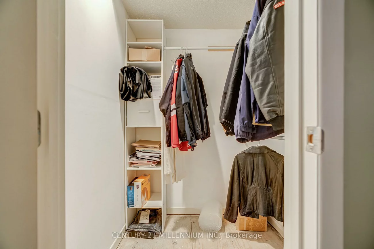 31, Mansfield, Central Park, Brampton