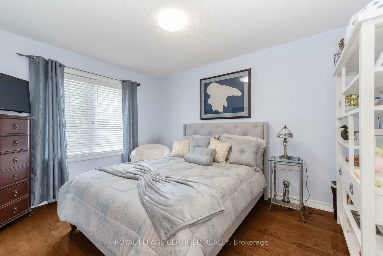 84, Softneedle, Sandringham-Wellington, Brampton