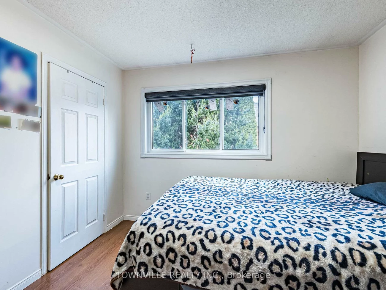 63, Ural, Sandringham-Wellington, Brampton