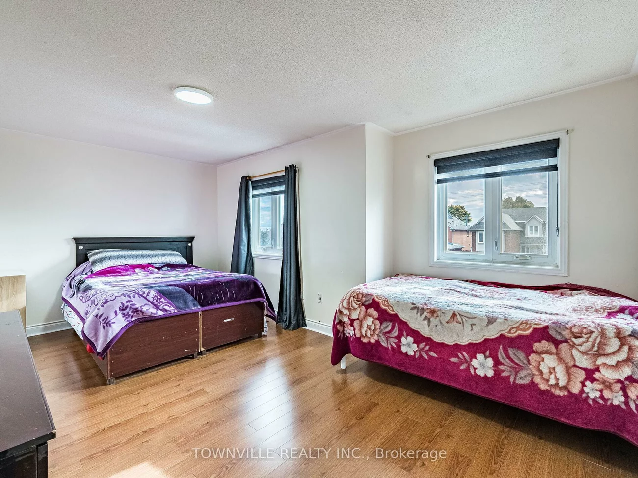 63, Ural, Sandringham-Wellington, Brampton