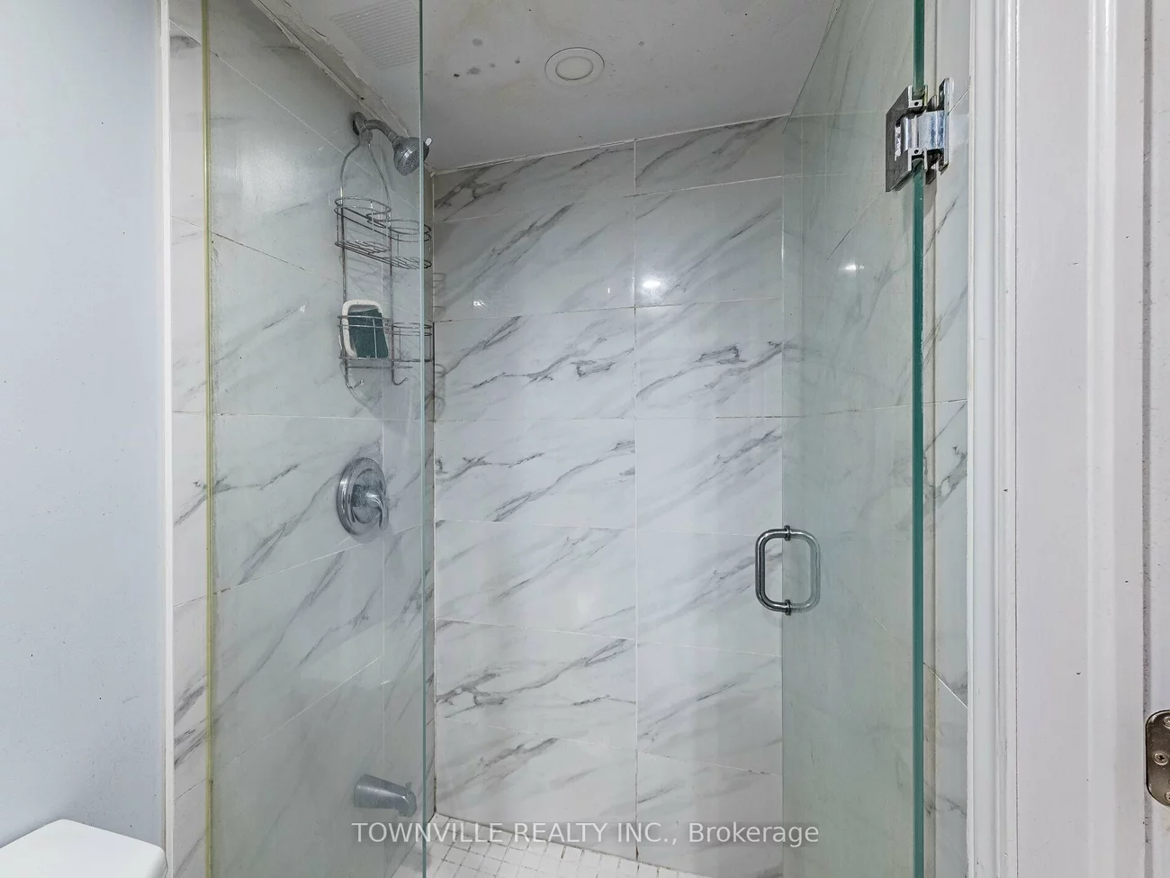 63, Ural, Sandringham-Wellington, Brampton