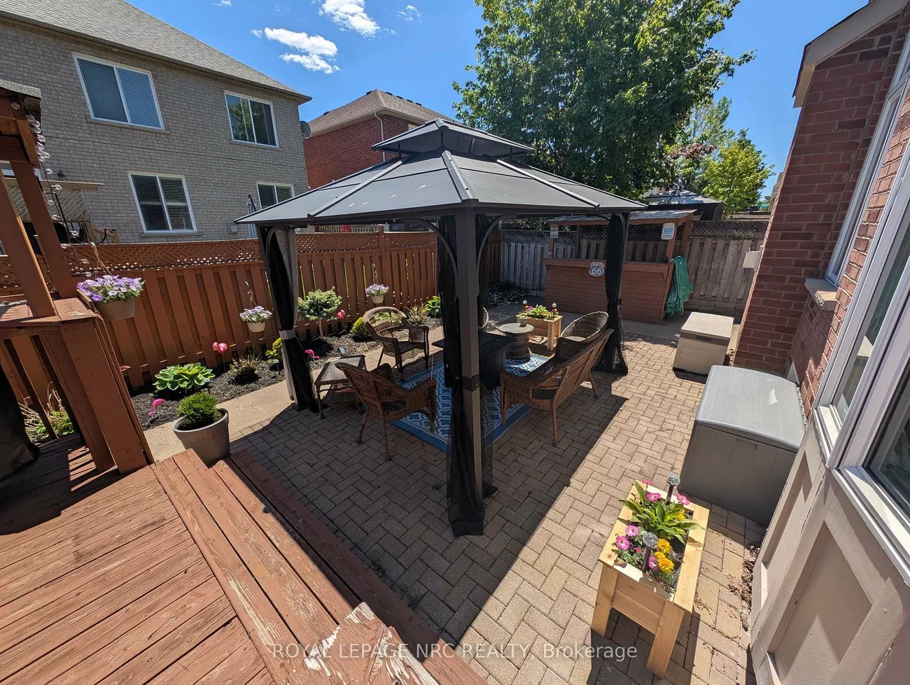 25, Maverick, Sandringham-Wellington, Brampton
