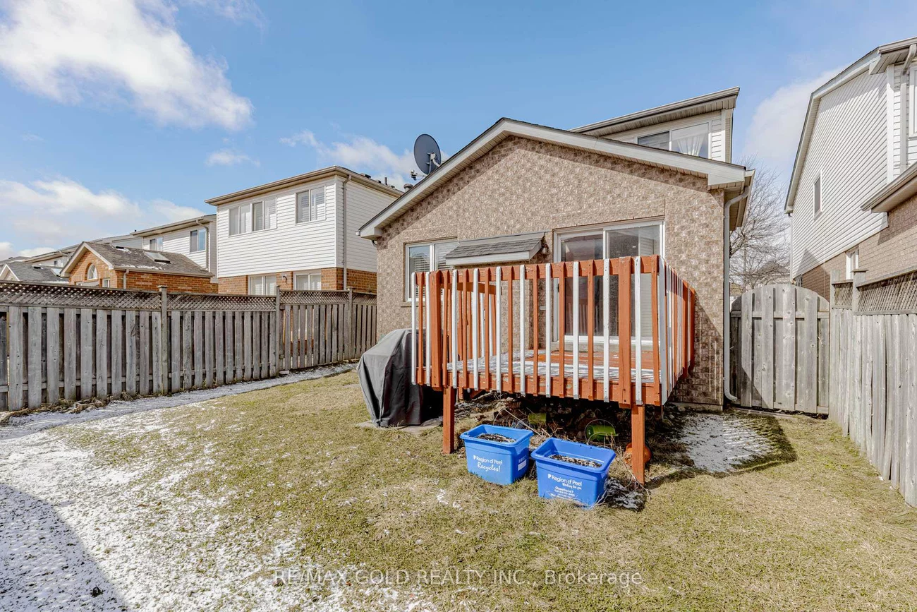 153, Cordgrass, Sandringham-Wellington, Brampton