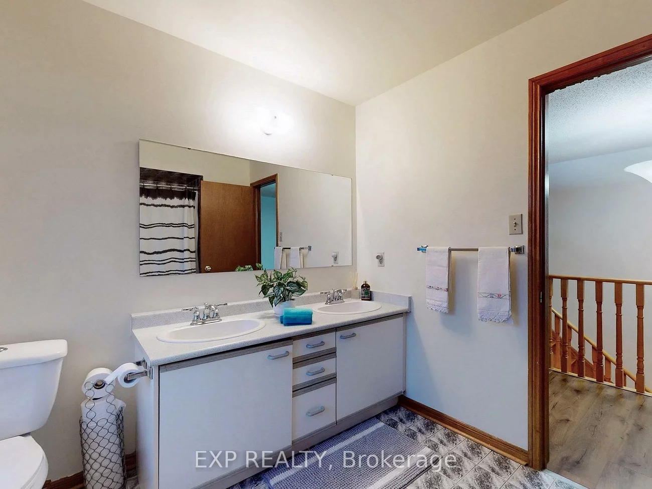 41, Bobcat, Sandringham-Wellington, Brampton