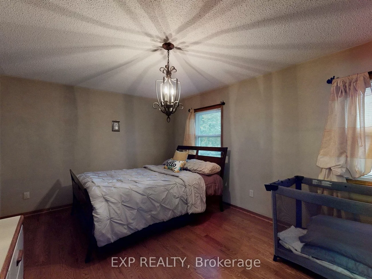41, Bobcat, Sandringham-Wellington, Brampton