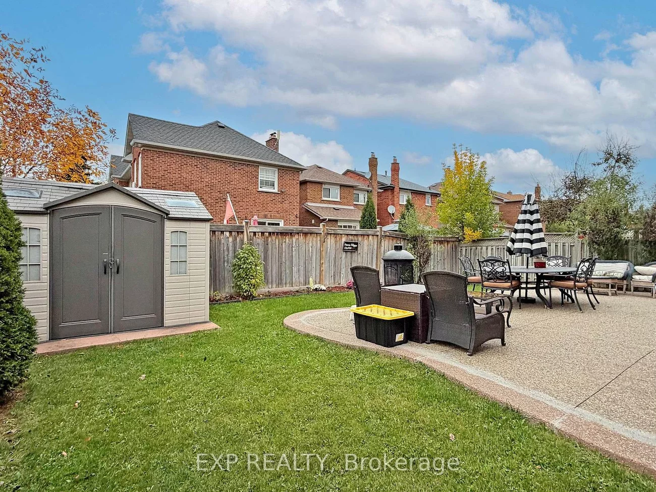 41, Bobcat, Sandringham-Wellington, Brampton