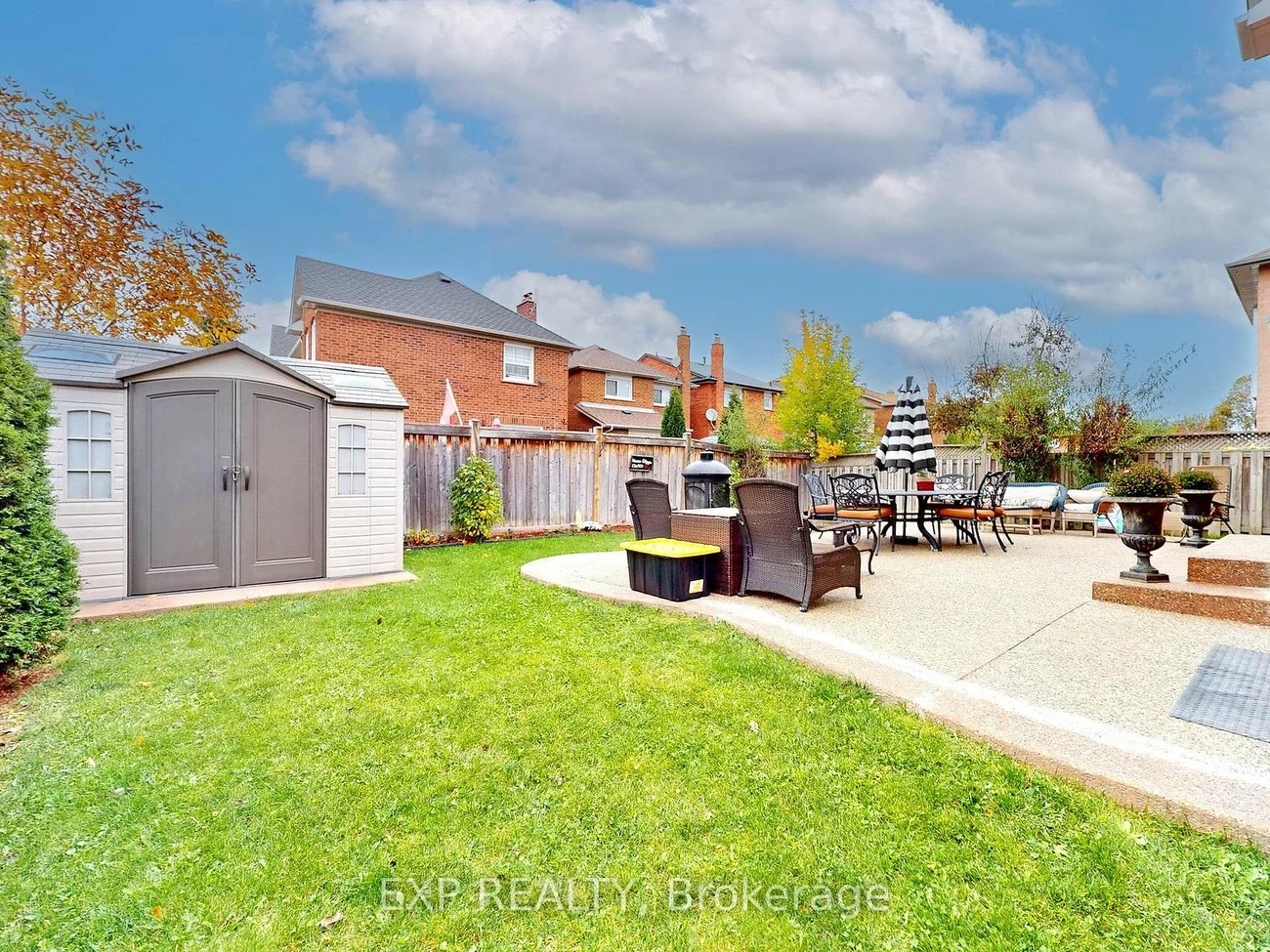 41, Bobcat, Sandringham-Wellington, Brampton