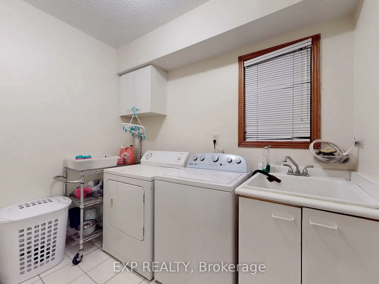 41, Bobcat, Sandringham-Wellington, Brampton