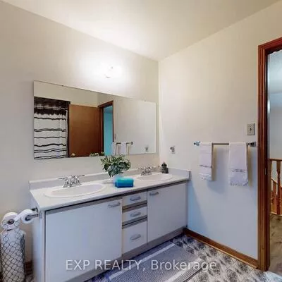 41, Bobcat, Sandringham-Wellington, Brampton