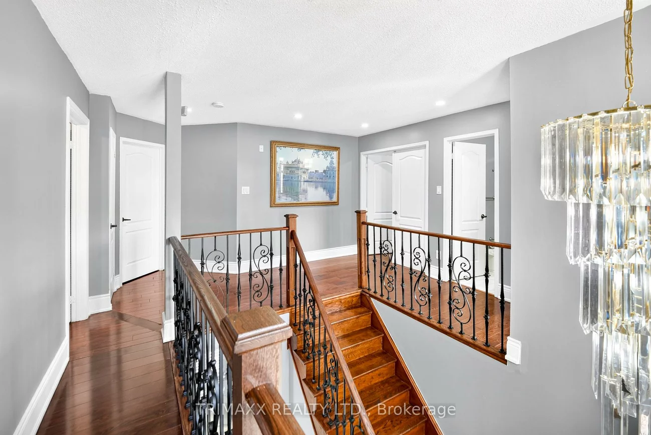 19, Leopard, Sandringham-Wellington, Brampton