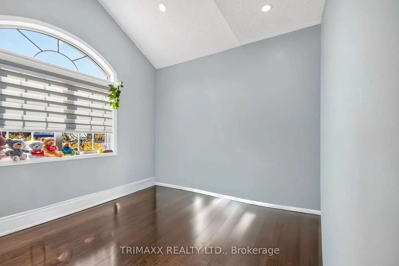 19, Leopard, Sandringham-Wellington, Brampton