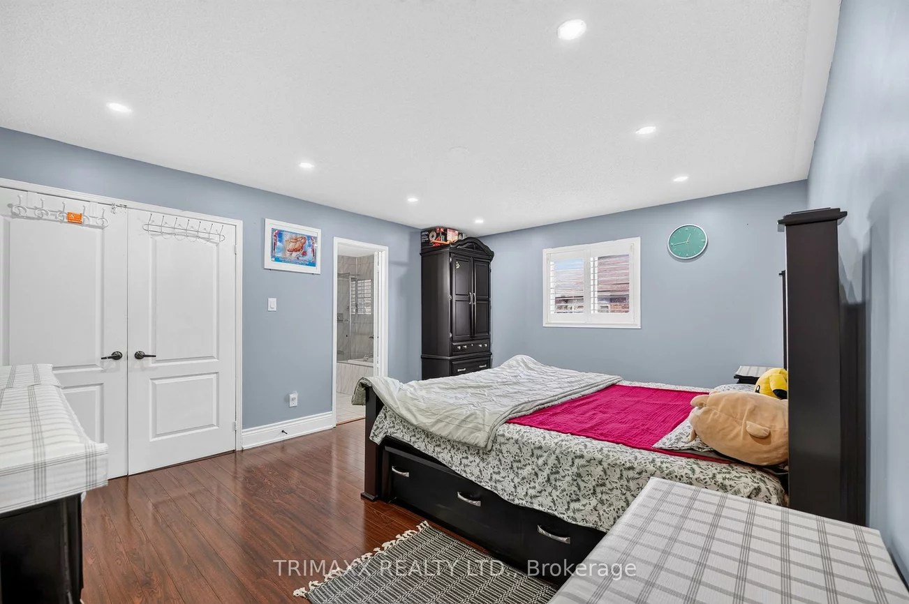 19, Leopard, Sandringham-Wellington, Brampton