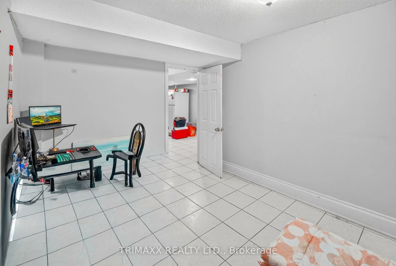 19, Leopard, Sandringham-Wellington, Brampton