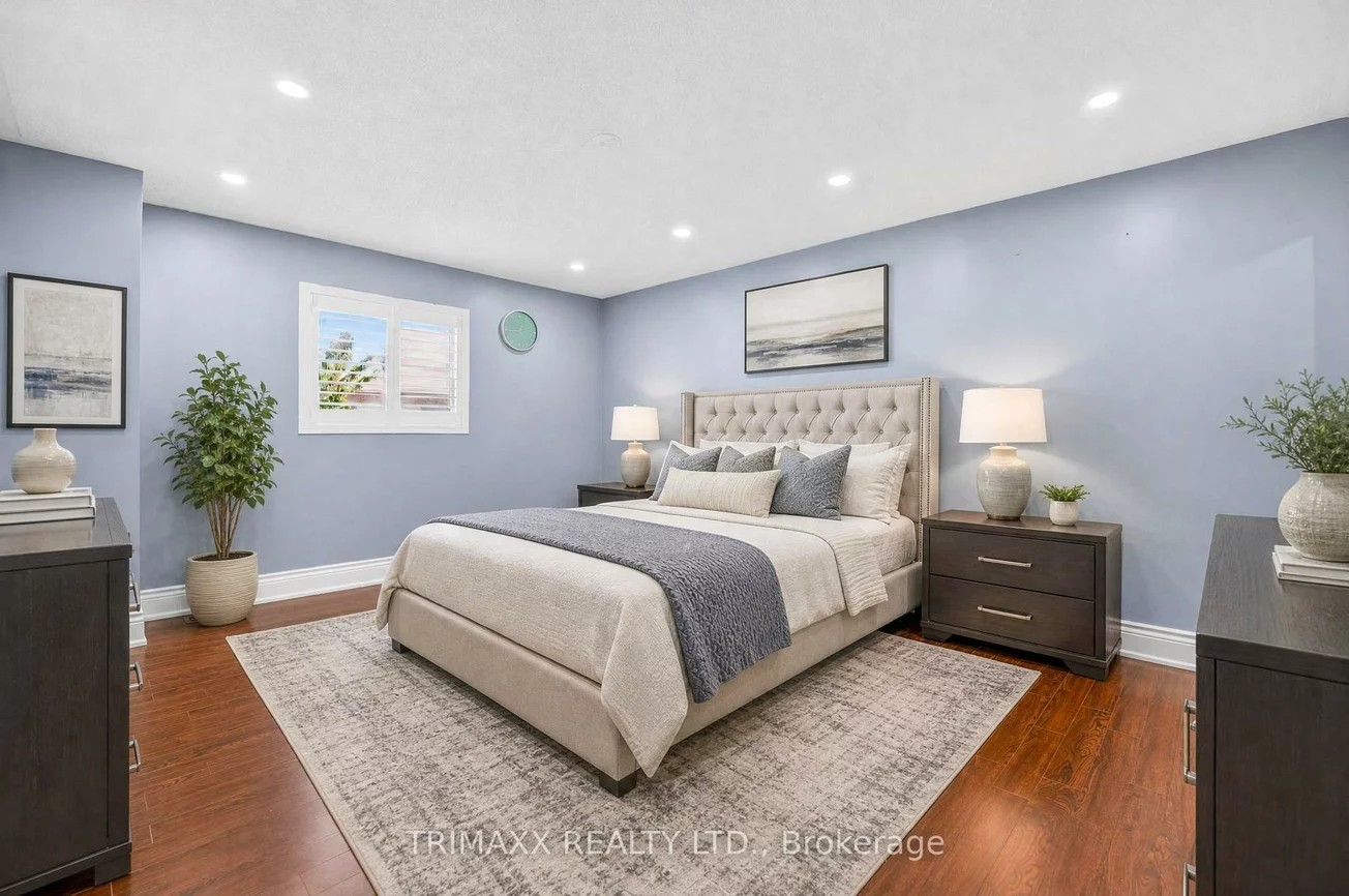19, Leopard, Sandringham-Wellington, Brampton