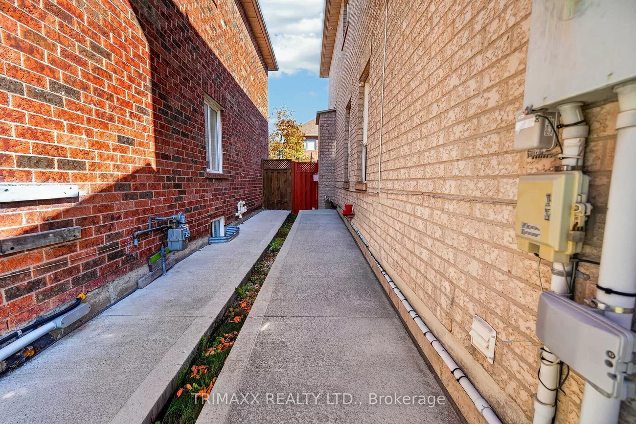 19, Leopard, Sandringham-Wellington, Brampton