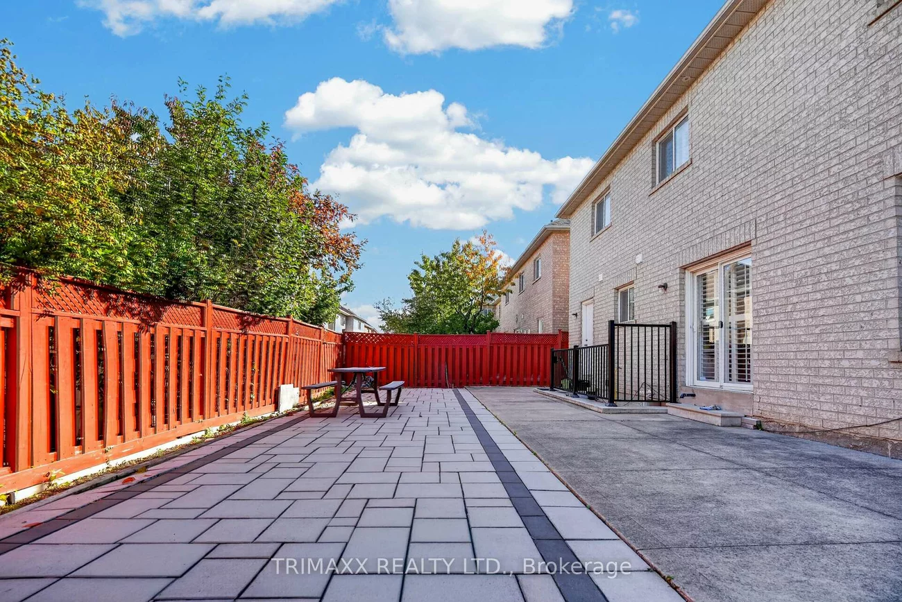 19, Leopard, Sandringham-Wellington, Brampton
