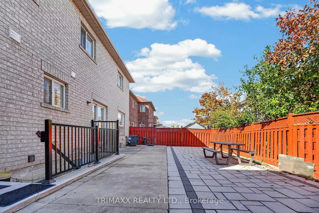 19, Leopard, Sandringham-Wellington, Brampton