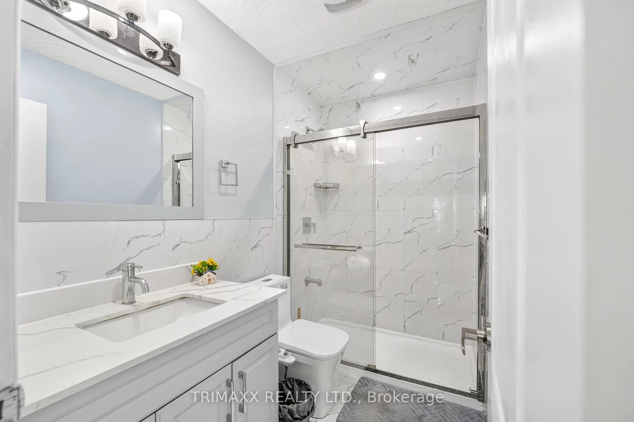 19, Leopard, Sandringham-Wellington, Brampton