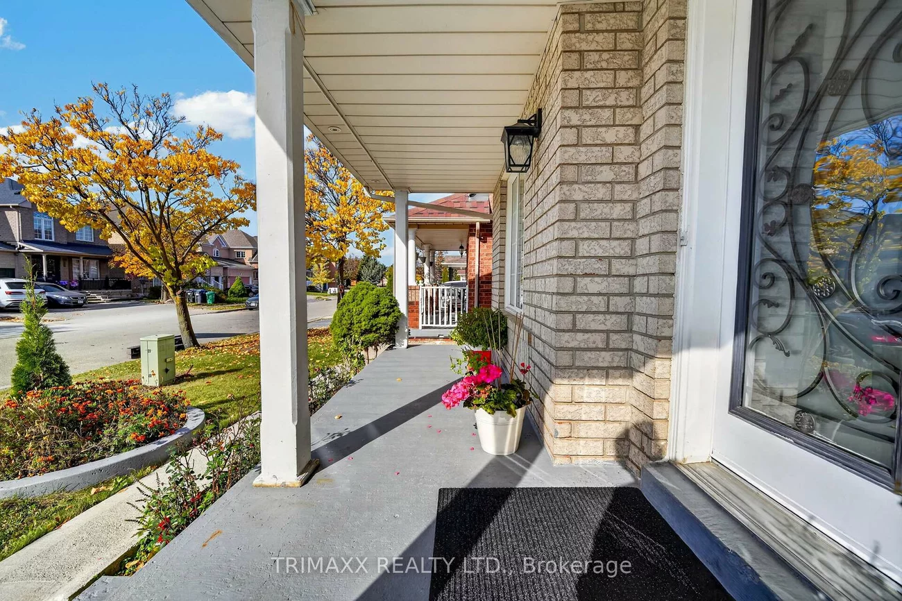19, Leopard, Sandringham-Wellington, Brampton
