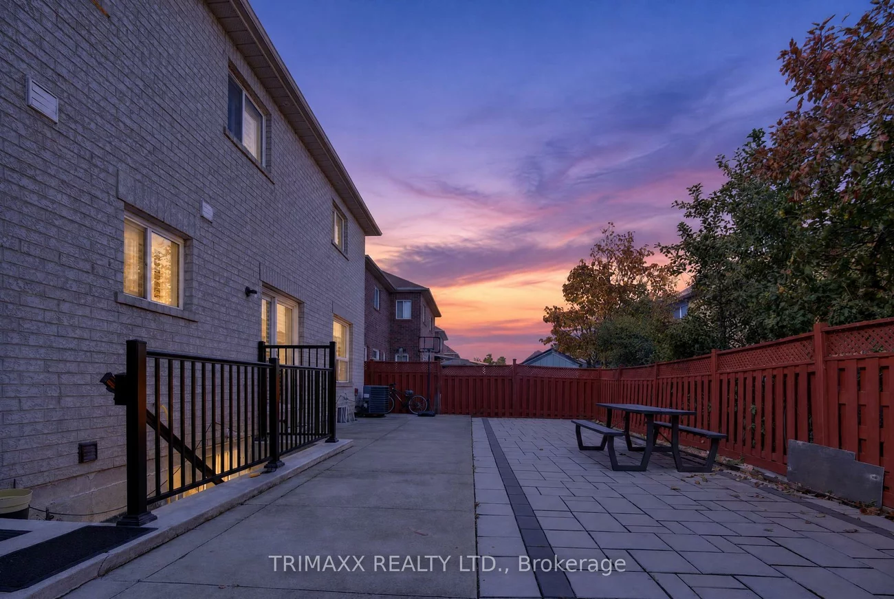 19, Leopard, Sandringham-Wellington, Brampton
