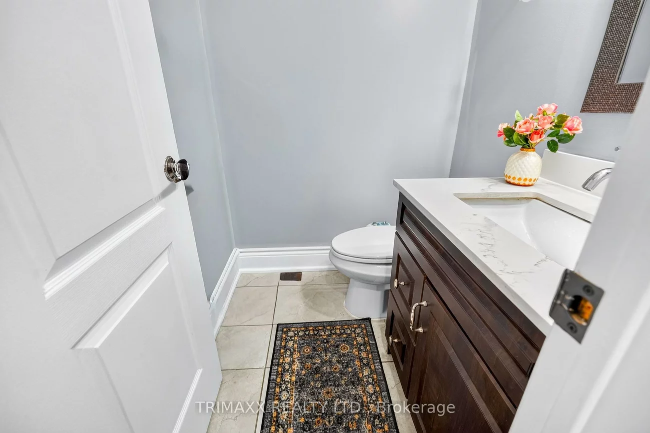 19, Leopard, Sandringham-Wellington, Brampton
