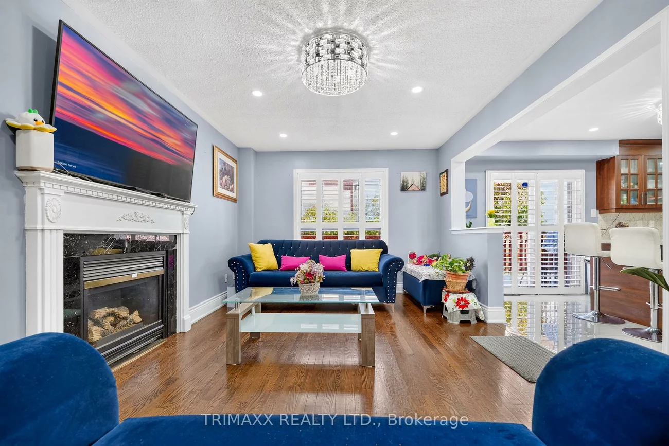 19, Leopard, Sandringham-Wellington, Brampton