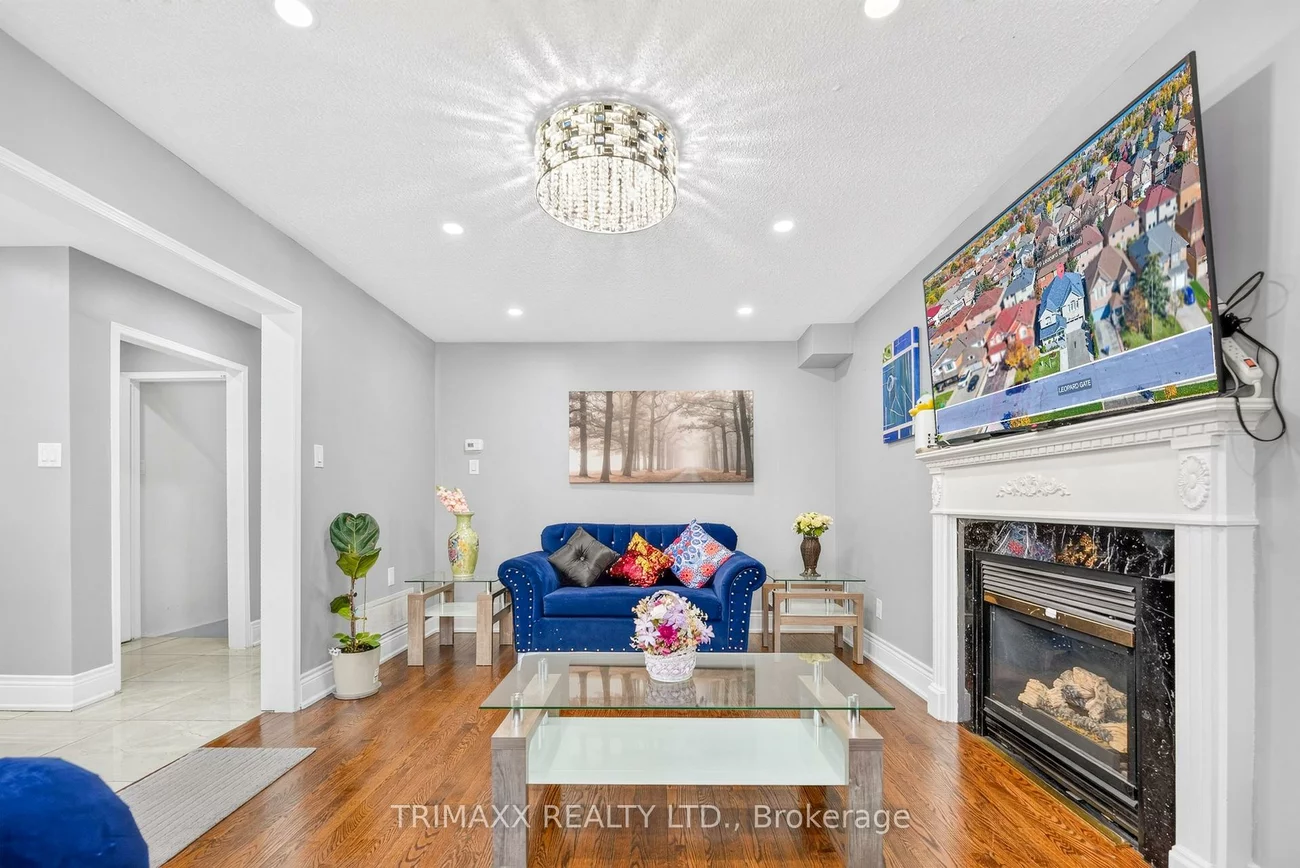 19, Leopard, Sandringham-Wellington, Brampton