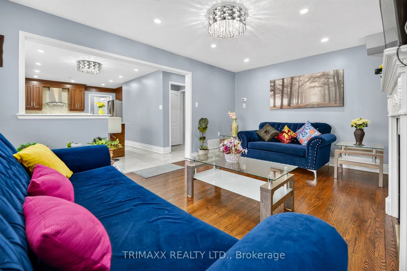 19, Leopard, Sandringham-Wellington, Brampton