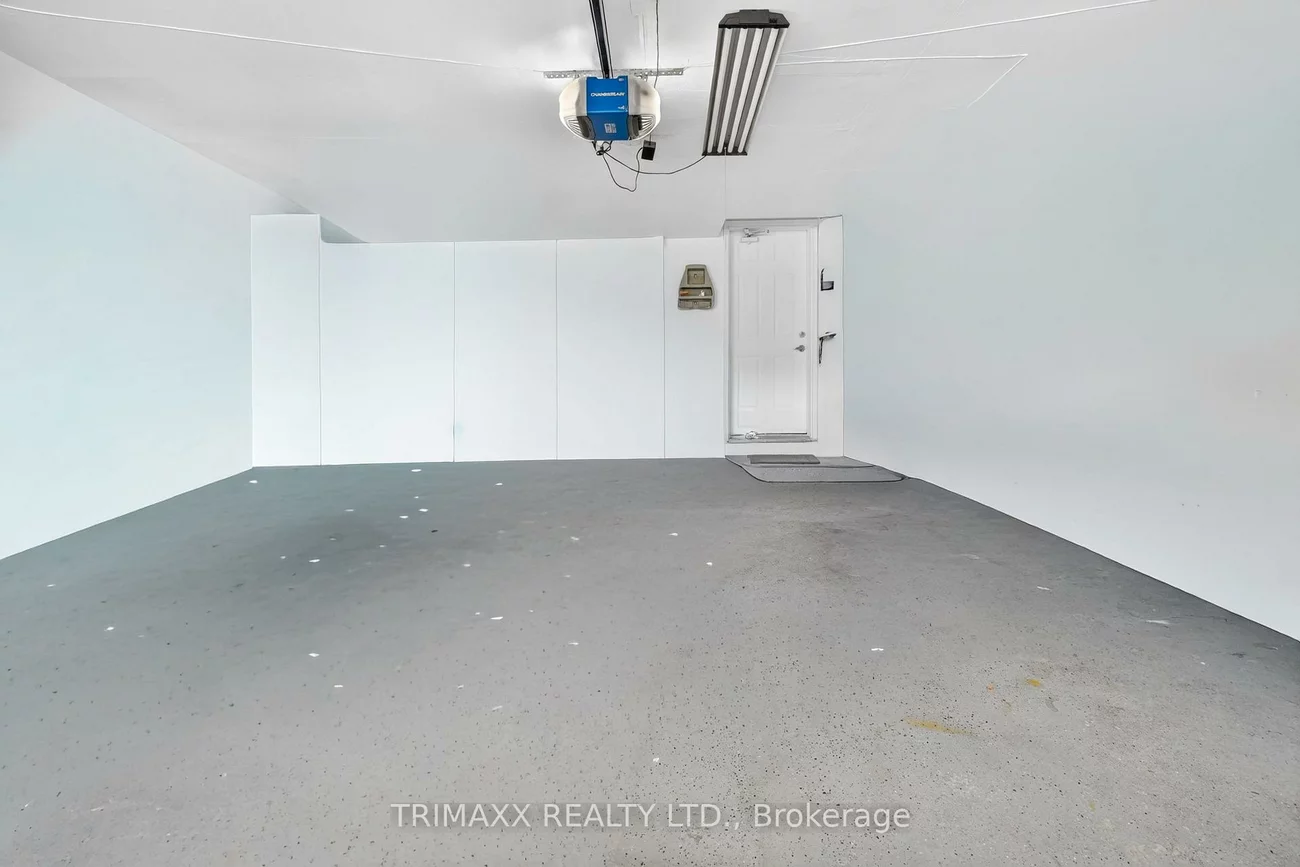 19, Leopard, Sandringham-Wellington, Brampton