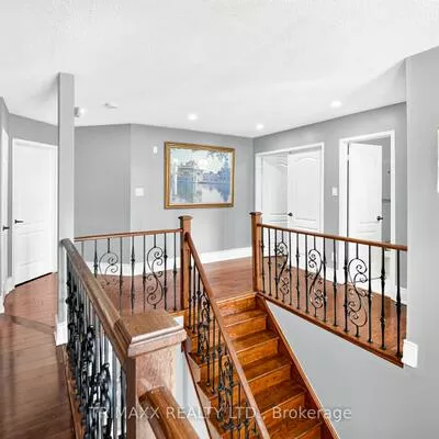 19, Leopard, Sandringham-Wellington, Brampton