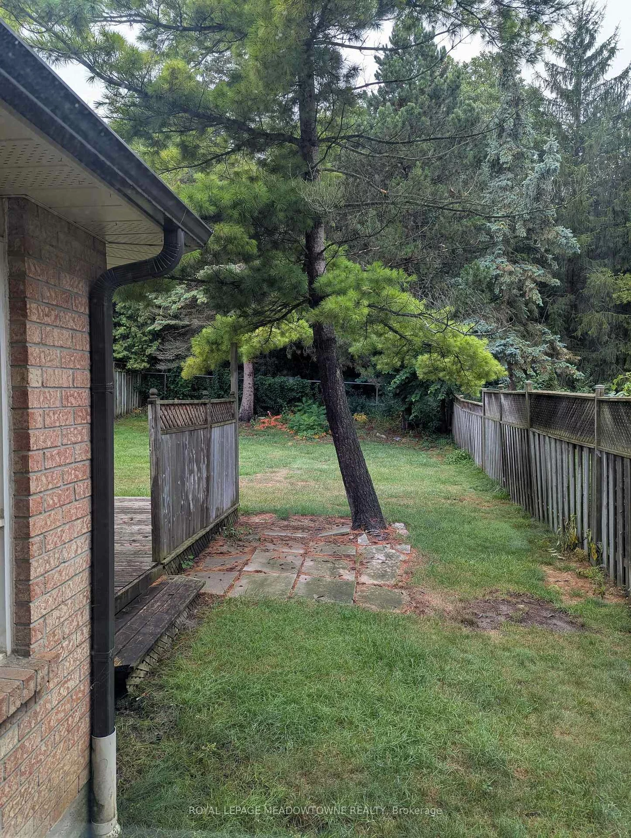 38, Bambi, Bolton West, Caledon